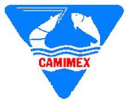 6 tháng, CMX dự phòng giảm giá hàng tồn kho 126 tỷ đồng