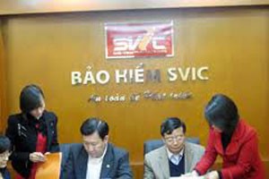 Bảo hiểm SVIC có tên mới