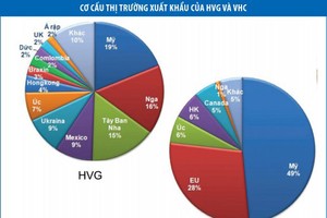Thuế chống phá giá, HVG và VHC sẽ bị ảnh hưởng mạnh