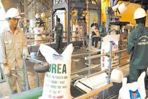 Lãi "khủng", DPM “mạnh tay” tạm ứng cổ tức 2013