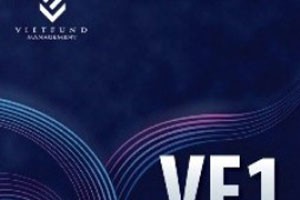 VF1 chuyển sang quỹ mở đúng tiến độ