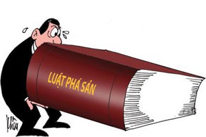 Luật Phá sản dưới góc nhìn luật sư 