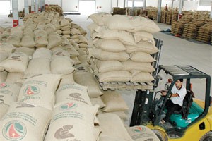 Vietcombank đang cho Thái Hòa vay nhiều nhất