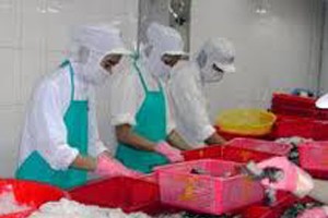 SJ1 thay Tổng giám đốc