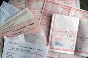 Xuất khống hóa đơn, chiếm đoạt trên 100 tỷ đồng hoàn thuế