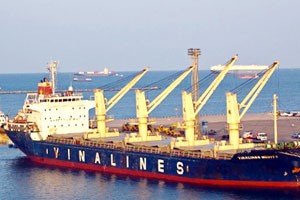 Thêm nhiều cựu lãnh đạo Vinalines bị đề nghị truy tố 