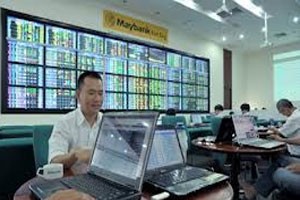 Maybank Kim Eng lỗ có tính toán!