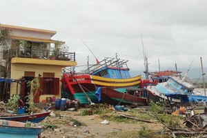 Bảo hiểm phi nhân thọ “nói không” với tăng trưởng nóng