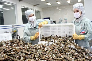 Xuất khẩu tôm có xu hướng tăng 