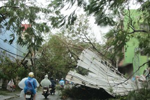 Bảo Việt ước bồi thường trên 28 tỷ đồng hậu quả cơn bão số 11 