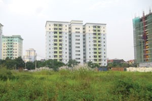 Nhà ở thương mại được giảm 50% thuế VAT