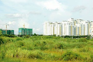 90.000 héc-ta đất vi phạm, chưa thu hồi