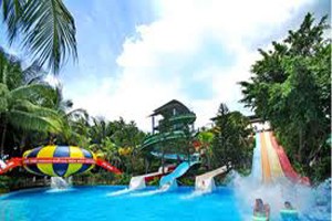 DSN ước doanh thu đạt 170 tỷ đồng