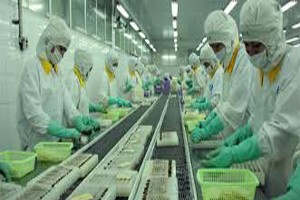 Tháng 11, FMC đạt 10,2 triệu USD doanh thu
