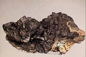 DHM thông báo tiến độ Dự án Bắc Việt