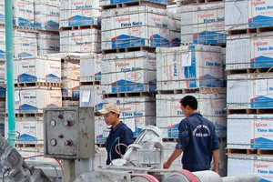 Viglacera: giá khởi điểm IPO 10.300 đồng