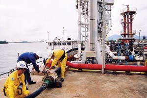 GAS: năm 2013 lãi sau thuế gần 12.000 tỷ đồng