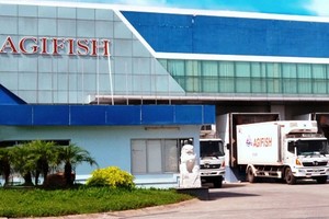 2014, AGF đặt kế hoạch lãi 120 tỷ đồng