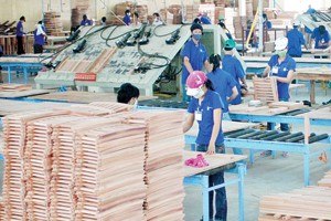 8,8 triệu cổ phiếu giá rẻ TTF giao dịch từ 10/1