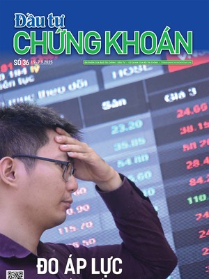 Báo Đầu tư Chứng khoán số 36