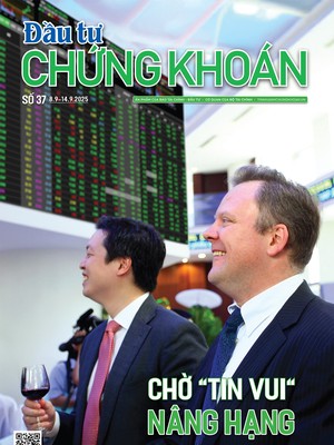 Báo Đầu tư Chứng khoán số 37