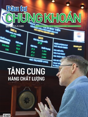 Báo Đầu tư Chứng khoán số 38