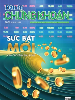 Báo Đầu tư Chứng khoán số 39