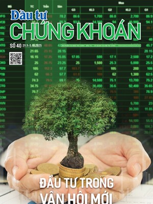 Báo Đầu tư Chứng khoán số 40