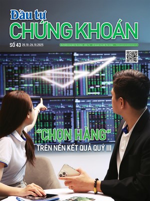 Báo Đầu tư Chứng khoán số 43