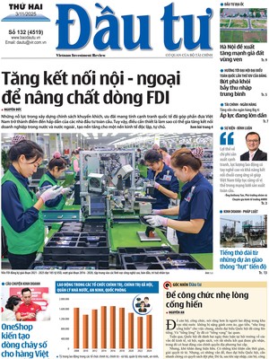 Báo Đầu tư số 132