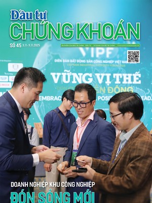 Báo Đầu tư Chứng khoán số 45