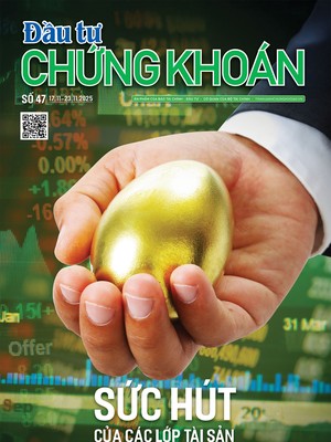Báo Đầu tư Chứng khoán số 47