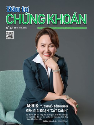 Báo Đầu tư Chứng khoán số 48
