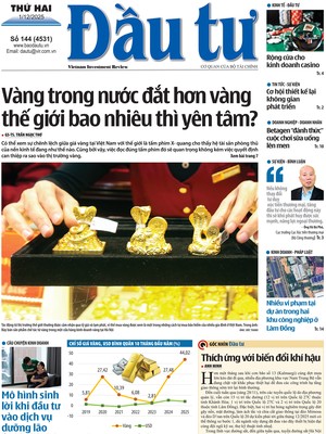 Báo Đầu tư số 144