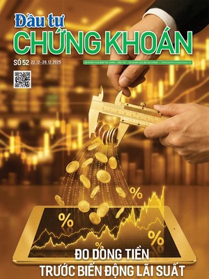 Báo Đầu tư Chứng khoán số 52
