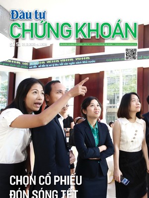 Báo Đầu tư Chứng khoán số 53