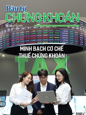 Báo Đầu tư Chứng khoán số 28