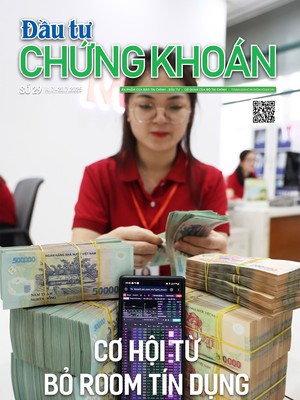 Báo Đầu tư Chứng khoán số 29