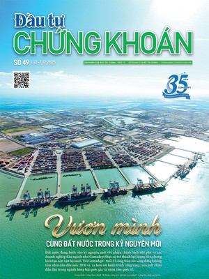 Báo Đầu tư Chứng khoán số 49