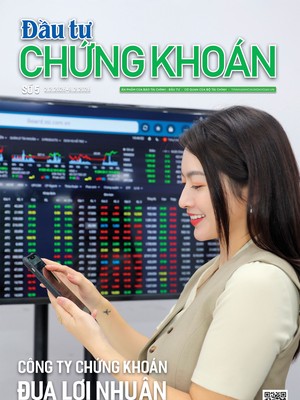 Báo Đầu tư Chứng khoán số 5
