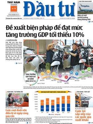 Báo Đầu tư số 19