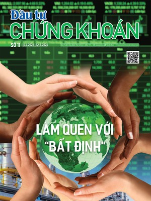  Báo Đầu tư Chứng khoán số 11