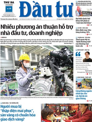 Báo Đầu tư số 20