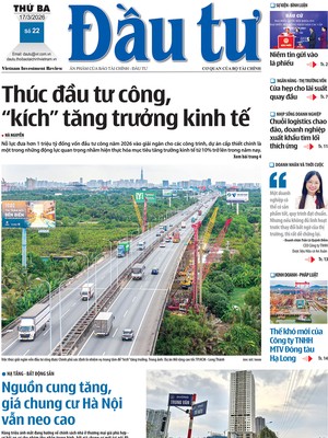 Báo Đầu tư số 22