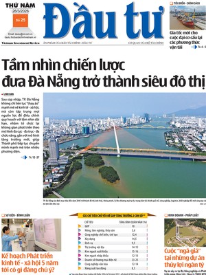 Báo Đầu tư số 25