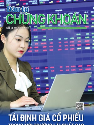  Báo Đầu tư Chứng khoán số 13