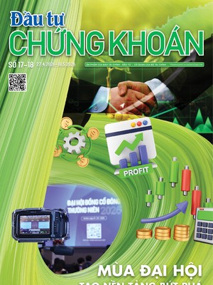 Báo Đầu tư Chứng khoán số 17+18