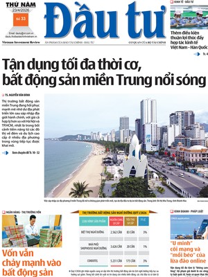 Báo Đầu tư số 33