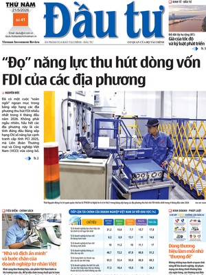 Báo Đầu tư số 41