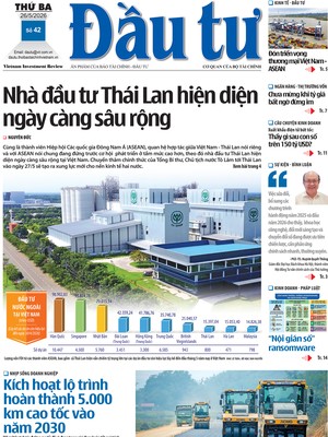 Báo Đầu tư số 42